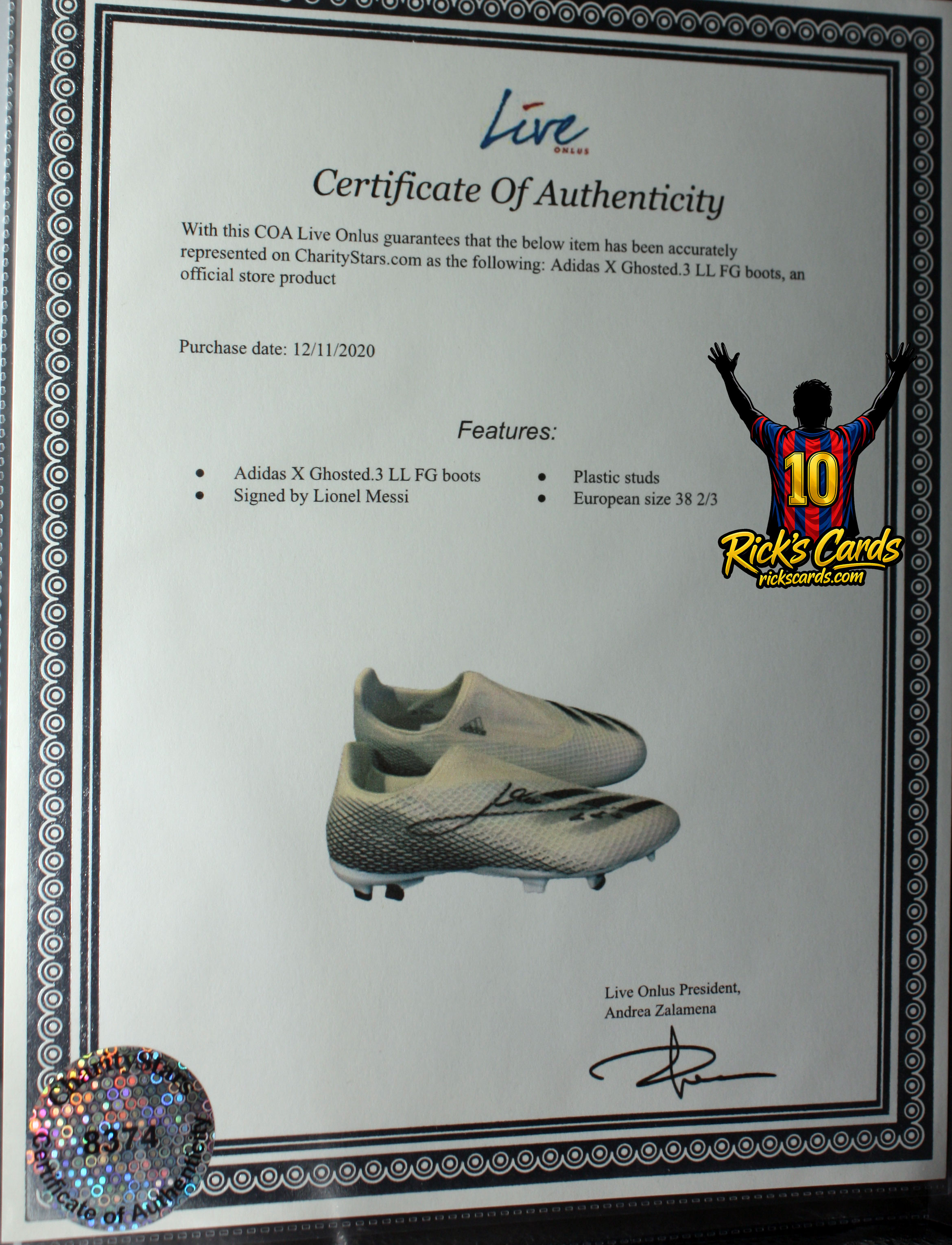 messighostedshoe.jpg
